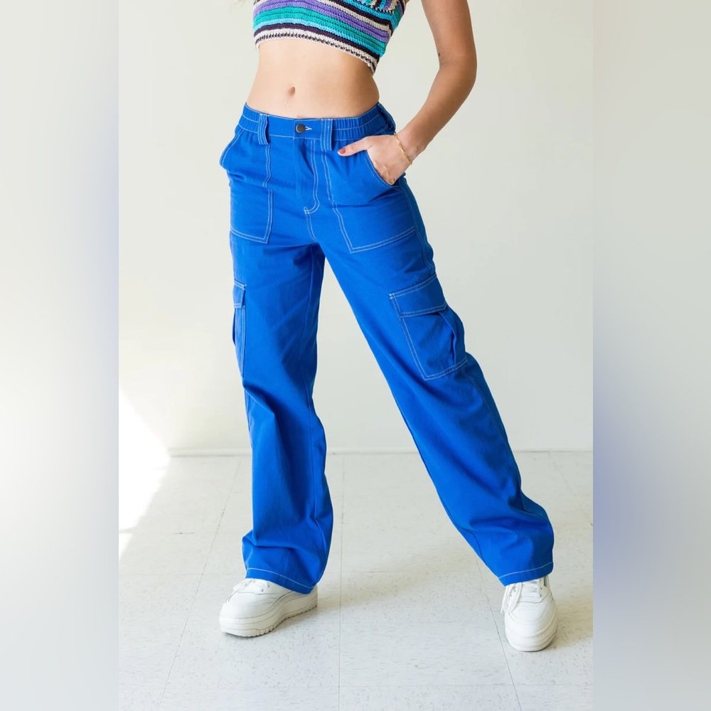 NECTAR Clothing Blue Skies Cargo Pants NWT